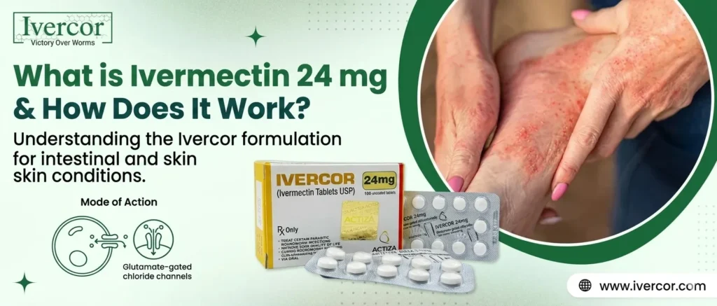 What is Ivermectin 24 mg and How Does It Work